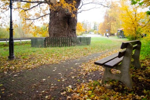Gångväg i park med SG4 armering för parkering och gångväg